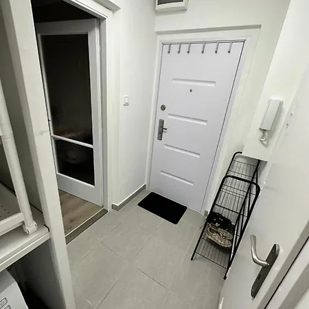 Sosto Forest Daire *