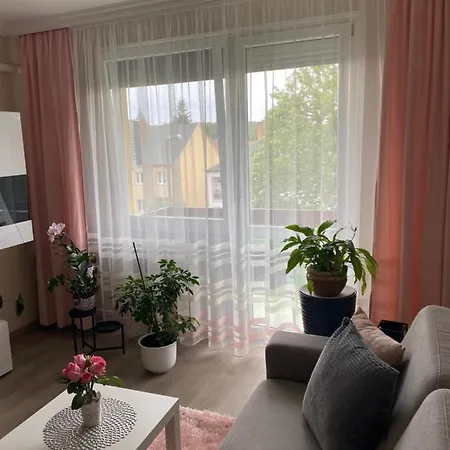 Sosto Forest * Nyíregyháza