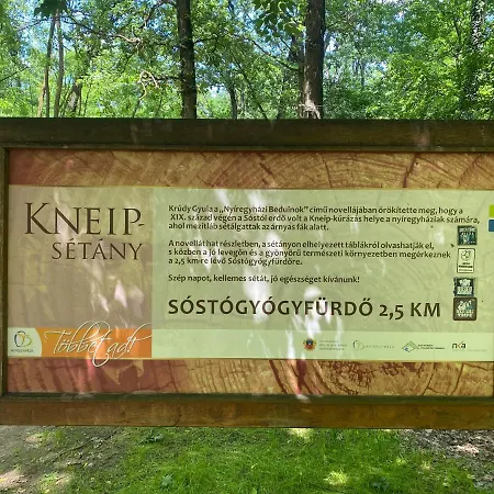 Sosto Forest Daire Nyíregyháza