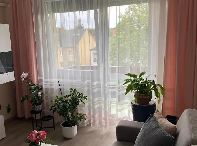 Sosto Forest * Nyíregyháza